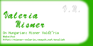 valeria misner business card